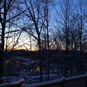 Meet your Posher, Rocco